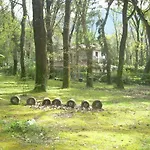 Baia D'argento 3* Сабаудия