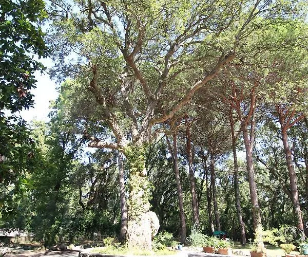 Baia D'argento Nocleg ze śniadaniem